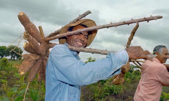 ARTIGO - Neoindustrialização no Brasil: os objetivos são claros, mas o processo ainda gera dúvidas para mecanização da agricultura familiar